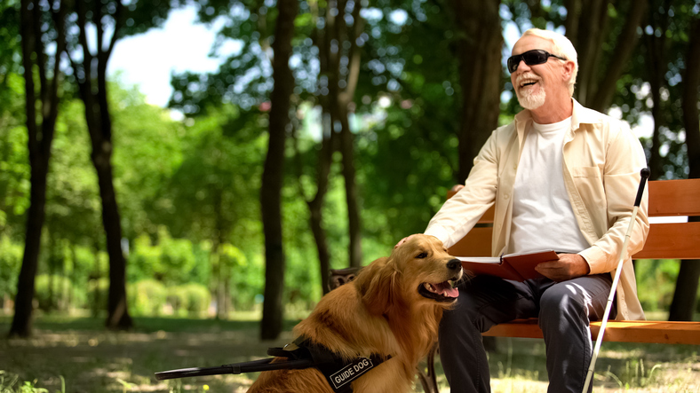 Causes of Blindness. Guide dog and owner in a park highlighting the importance of knowing the causes of blindness and taking steps to protect vision.